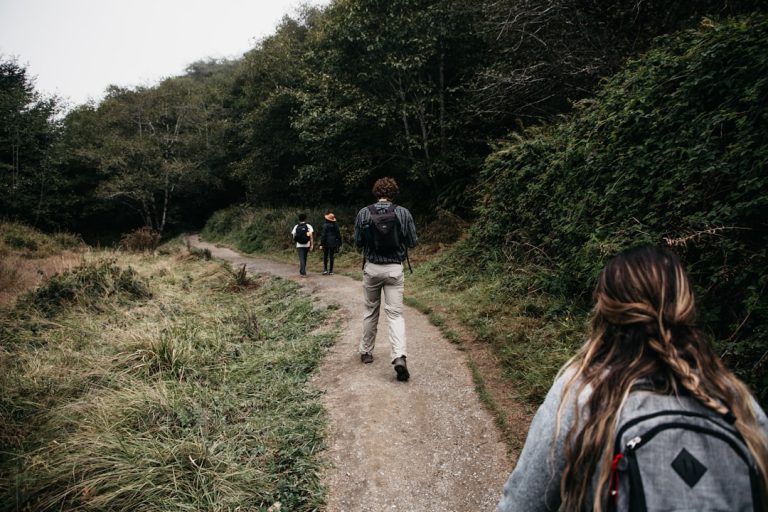 Exploring the Great Outdoors: A Data-Driven Guide to Budget-Friendly Travel